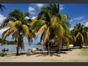 plage-de-marigot